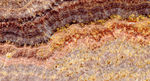 Onyx Fantasia