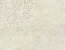81.20 SCHIBAS